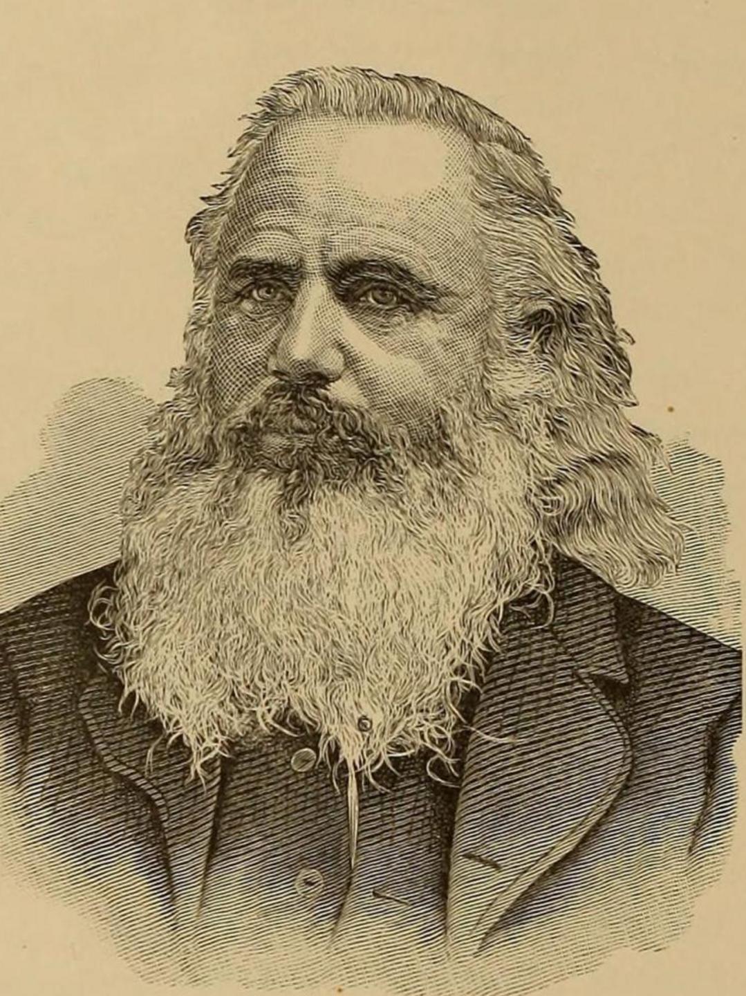 William W Davies (1833 - 1906) Profile